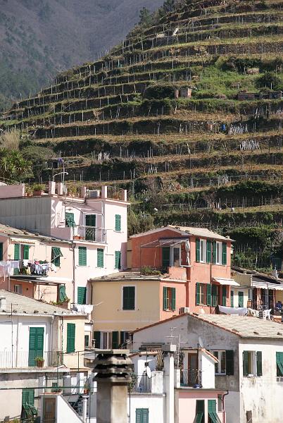 Vernazza (26).JPG